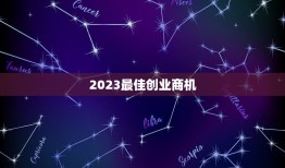 2023创业商机(未来的数字经济时代)