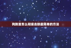 狗跳蚤怎么彻底去除最简单的方法(无毒、环保、高效的解决方法)