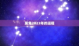 属兔2023年的运程(顺风顺水财源滚滚来)