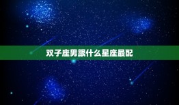 双子座男跟什么星座最配(天生一对的星座组合)