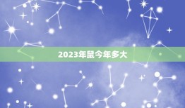 2023年鼠今年多大(探寻十二生肖中鼠的年龄奥秘)