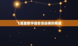 飞星盘数字组合吉凶表(解读数字命运)