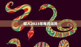 蛇人2023年每月运势(解析财运旺盛感情顺利)