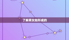 怎样容易怀男孩机会大(科学指南)