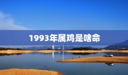 1993年属鸡是啥命(介绍属鸡人的性格特点和运势)