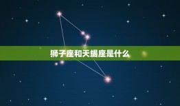 狮子座和天蝎座是什么(星座之间的神秘互动)