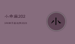 小乖麻2023年狮子座运势，2023年狮子座运势大吉吗