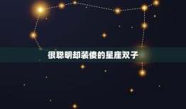 很聪明却装傻的星座双子(介绍他们的聪明才智藏在哪里)