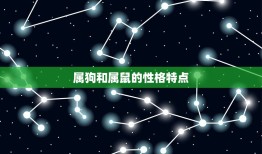 属狗属鼠在一起合适么(星座专家介绍这两个属相的爱情契合度如何)