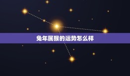 兔年属猴的运势怎么样(2023年运势大介绍)