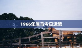 1966年属马今日运势(顺境如意财运亨通)