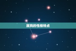 属狗和属龙的婚姻好吗(介绍星座配对的秘密)