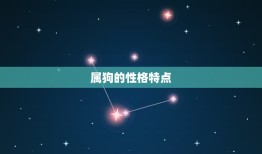 属狗和属龙的婚姻好吗(介绍星座配对的秘密)