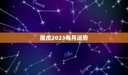 属虎2023每月运势(2023年属虎人的12星座运势预测)