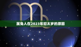 属兔2023年犯太岁(如何化解犯太岁的厄运)