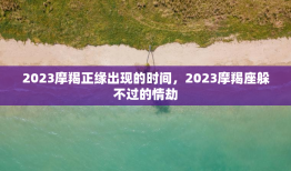 2023摩羯正缘出现的时间，2023摩羯座躲不过的情劫