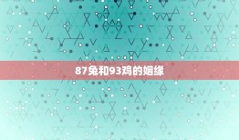 87兔和93鸡的姻缘(一见钟情爱情长跑)