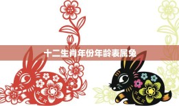 十二生肖年份年龄表属兔(兔年出生的你年龄如何计算)