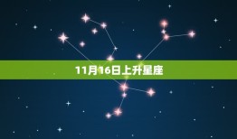 11月16日上升星座(探秘你的人生指南针)