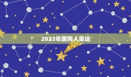 2023年属狗人命运(展望财运旺盛事业有成)