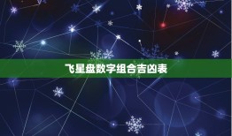 飞星盘数字组合吉凶表(解读数字命运)