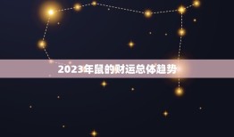 2023年鼠的财运鼠(财富滚滚来鼠年发大财)