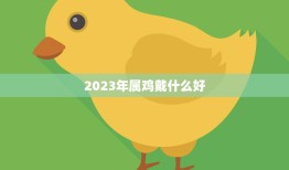 2023年属鸡戴什么好(幸运饰品助力事业发展)