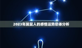 属鼠2023年感情运(爱情甜蜜还是波折)