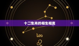 属相的6合属相是什么(介绍相生相克十二生肖的奥秘)