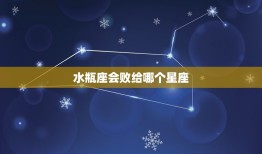 水瓶座会败给哪个星座(介绍水瓶座的劲敌)