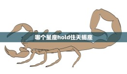 哪个星座hold住天蝎座(星座配对大揭秘)