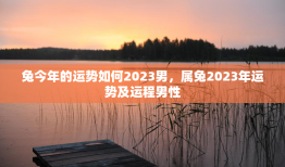 兔今年的运势如何2023男，属兔2023年运势及运程男性