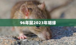 96年鼠2023年姻缘(缘定三生等待真爱的到来)