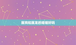 属狗和属龙的婚姻好吗(介绍星座配对的秘密)