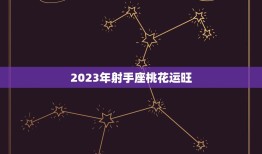 2023年射手座桃花运旺(爱情大丰收)