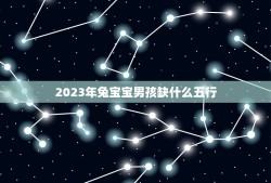 2023年兔宝宝男孩缺什么五行(详解兔宝宝男孩命理学)