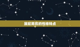 属蛇的几月生男孩(探秘蛇年男孩的性格特点)