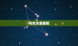 摩羯女生和什么座最配(星座配对大介绍)