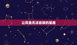 让双鱼无法自拔的星座(最强搭档让你们相爱相杀)