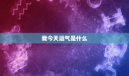 我今天运气是什么：阳光普照，公司突调薪！彩票之谜，谁将中奖？