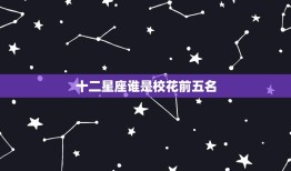 十二星座谁是校花前五名(介绍校园美女排行榜)