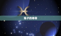 2023兔子今年多大(介绍兔子的年龄计算方法)