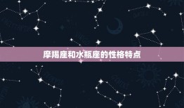 星盘摩羯和水瓶多好吗(介绍两个星座的默契配对)