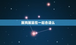 属狗属鼠在一起合适么(星座专家介绍这两个属相的爱情契合度如何)