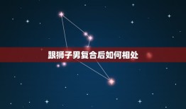 跟狮子男复合后如何相处(顺应他的性格建立平等关系)