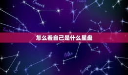 怎么看自己是什么星盘(轻松解读你的星座盘)