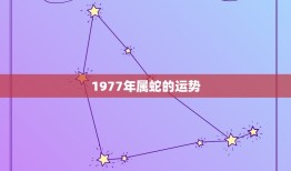 1977年属蛇的运势(蛇行天下财运亨通)