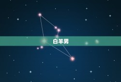 十二星座情侣配对表男(组合大介绍)