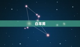 十二星座情侣配对表男(组合大介绍)