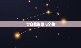 星盘各宫位代表(你的人生宫殿)